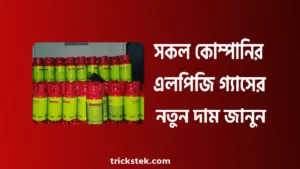 বসুন্ধরা, যমুনা, ওমেরা, বিএম এলপিজি গ্যাসের দাম ২০২৬ বসুন্ধরা, যমুনা, ওমেরা, বিএম এলপিজি গ্যাসের দাম ২০২৬